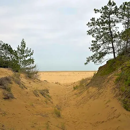 Peaceful Flat 200m From The Sea In * Bibione
