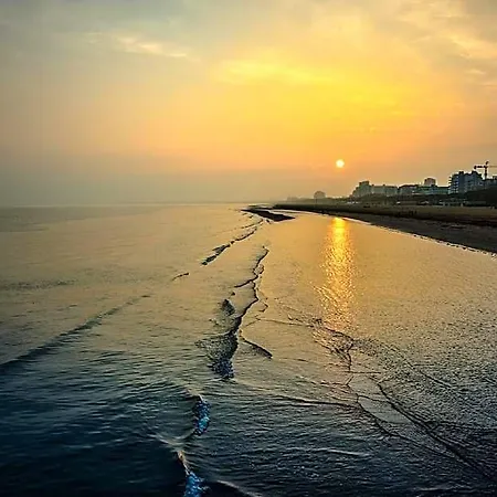 Peaceful Flat 200m From The Sea In Apartamento *